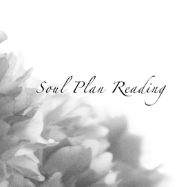 Soul Plan Reading